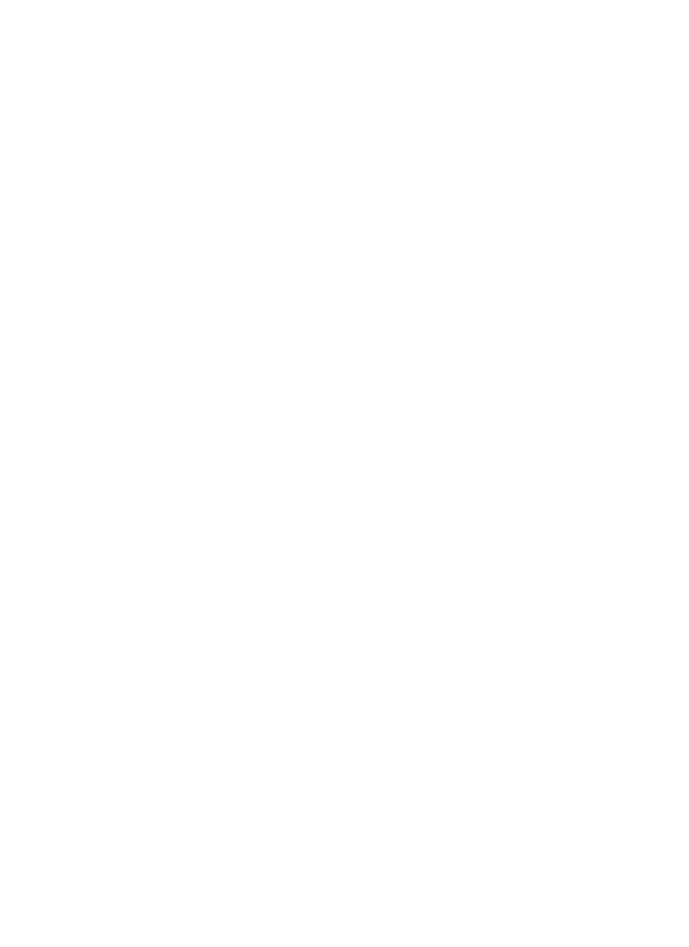 SUTE Korean Fusion